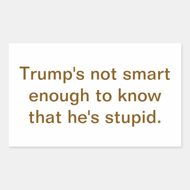 Adesivo Retangular O Trump Idiota Não é Inteligente Hankamer Artjunkh (Frente)