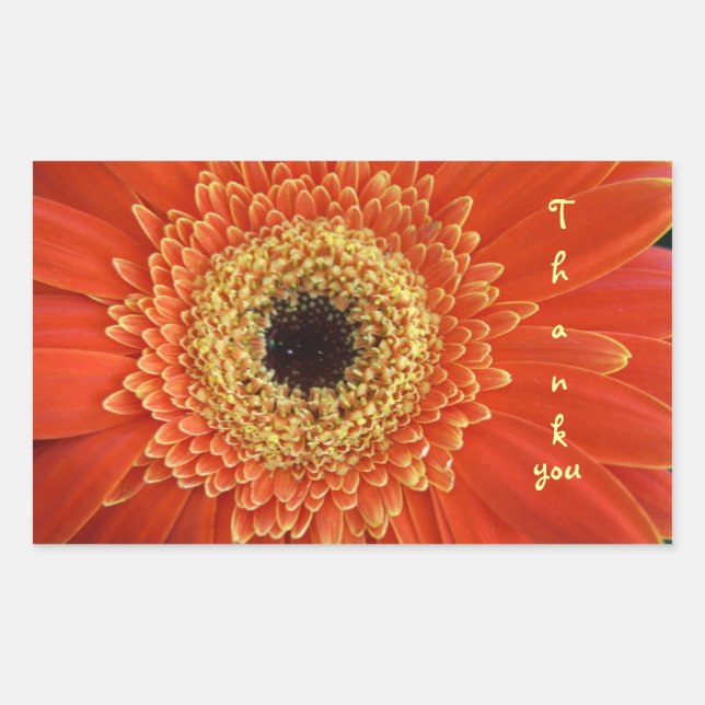 Adesivo Retangular obrigado (Frente)