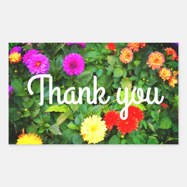 Adesivo Retangular Obrigado A Vários Dahlias Nº 1-2 Stickers (Frente)