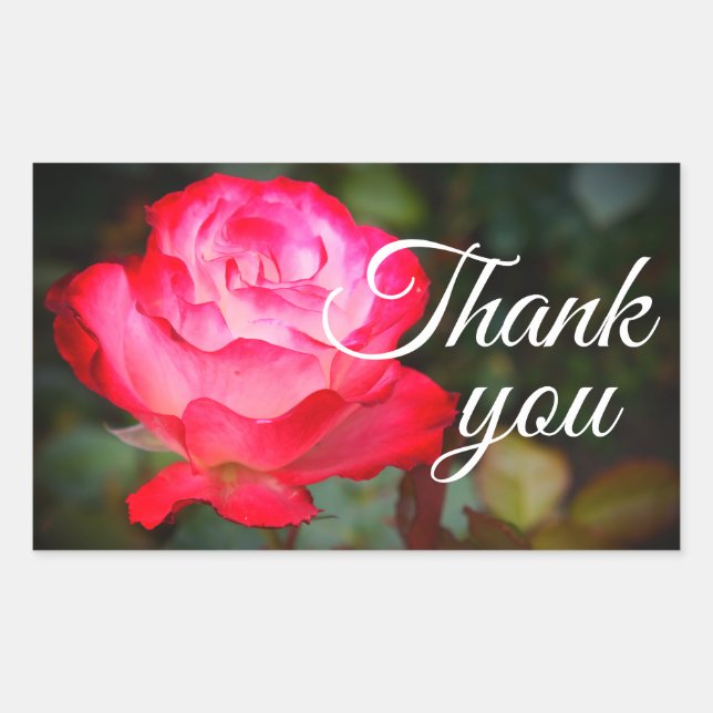 Adesivo Retangular Obrigado Cherry Parfait Rosa nº 3 Stickers (Frente)