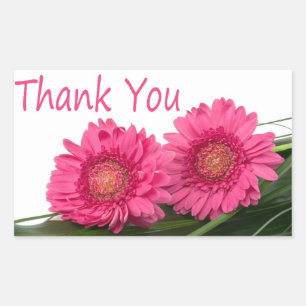 Adesivo Retangular Obrigado Pink Gerbera Daisy Flower Floral Sticker