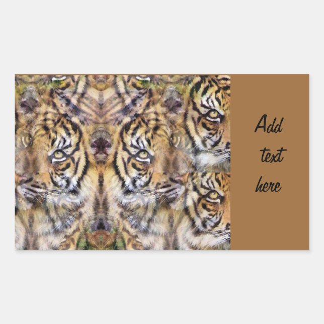 Adesivo Retangular Observando_ (Frente)