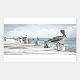 Adesivo Retangular Oceano Costeiro Pelicano