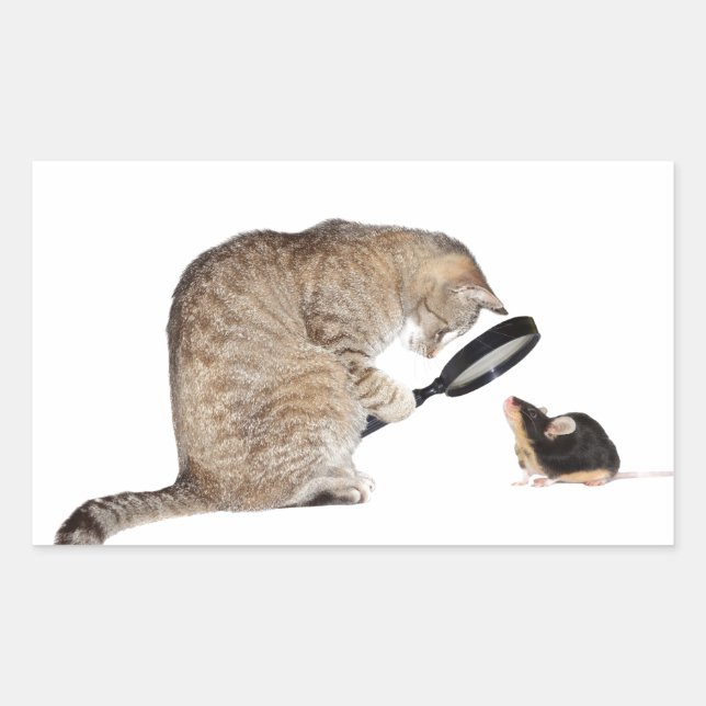 Adesivo Retangular Olá? (Frente)