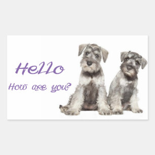 Adesivo Retangular Olá Cachorro de Estimação Miniatura Schnauzer rótu