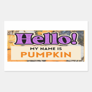 Adesivo Retangular Olá Meu nome é Pumpkin Fall Sticker