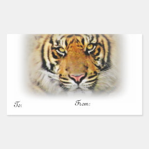 Adesivo Retangular Olhos do tigre, Love_