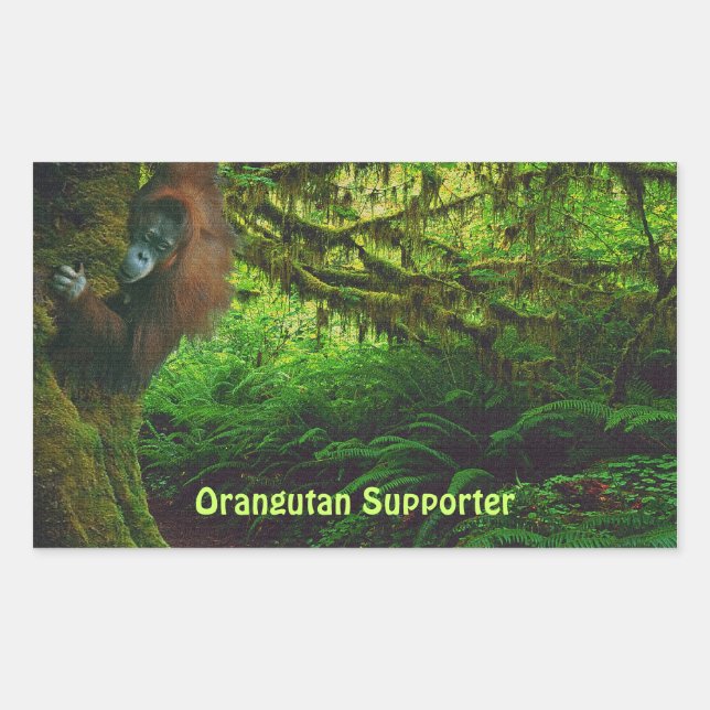 Adesivo Retangular Orangutan Bonito Jogando na Selva (Frente)