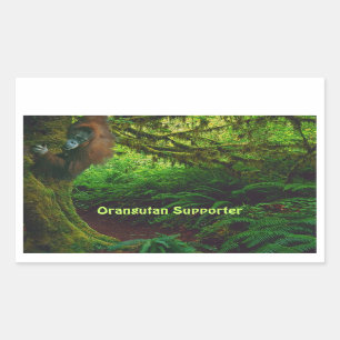 Adesivo Retangular Orangutan Bonito Jogando na Selva