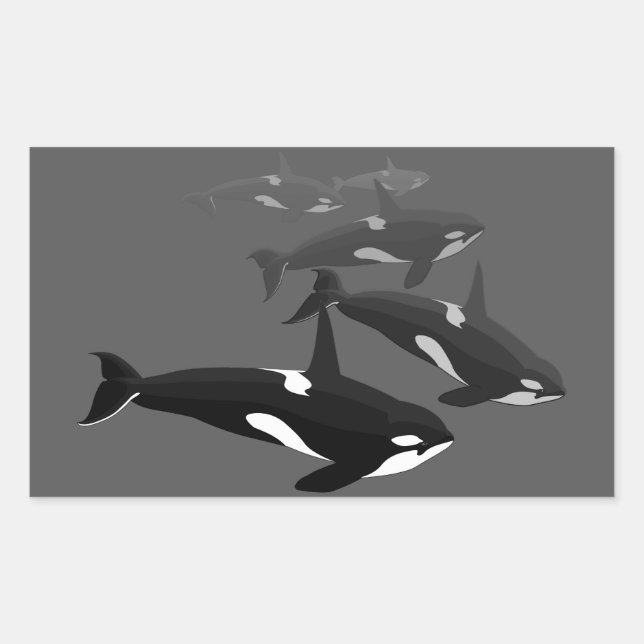Adesivo Retangular Orca Whale Stickers Killer Whale Art Stickers (Frente)