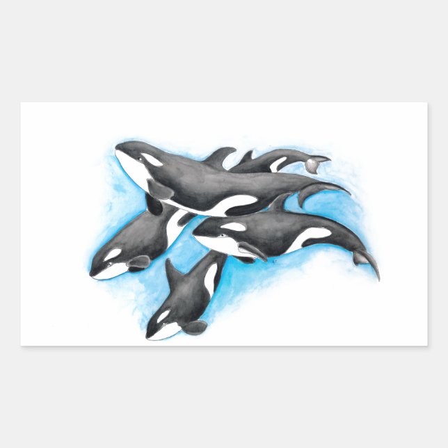 Adesivo Retangular orcas em azul (Frente)