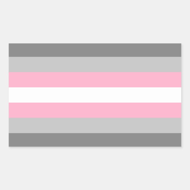 Adesivo Retangular Orgulho Demigirl (Frente)