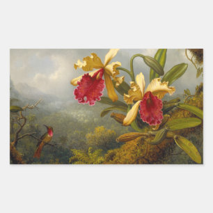 Adesivo Retangular Orquídeas e Hummingbird