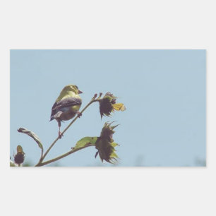 Adesivo Retangular Os meus visitantes favoritos. #ave #natureza #vid