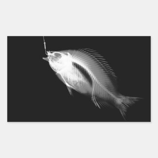 Adesivo Retangular Ossos de Peixes de Raios X &B