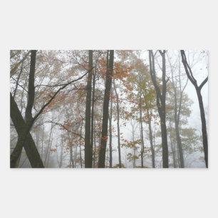 Adesivo Retangular Outono Nebuloso na Natureza de Outono da Pensilvân