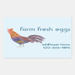 Adesivo Retangular Ovos de frango com aquarela para venda de produto