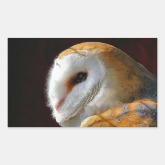 ADESIVO RETANGULAR OWLS (Frente)