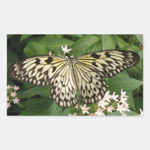 Adesivo Retangular Palhetas para borboletas de papel