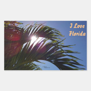 Adesivo Retangular Palmeira I Love Florida Stickers
