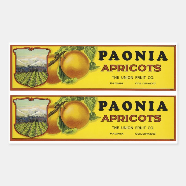 Adesivo Retangular Paonia Apricots Label Art (Frente)