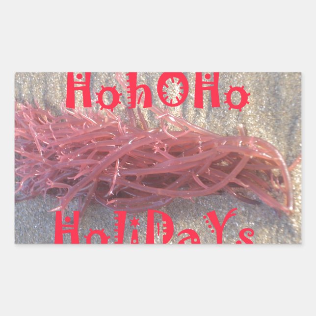 Adesivo Retangular Papais noeis HoHo Feliz Natal das cores da praia (Frente)