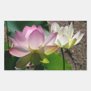 Adesivo Retangular Par de Flores de Lotus I
