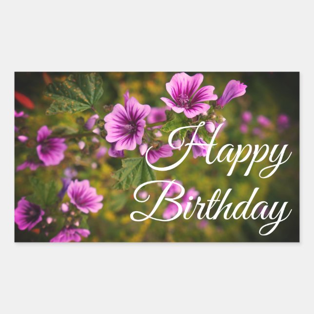 Adesivo Retangular Parabéns Zebra Hollyhock #2-2 Stickers (Frente)