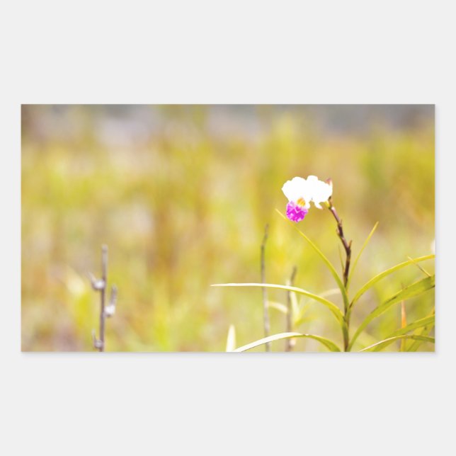 Adesivo Retangular Parque Nacional das Orquídeas Tropicais do Havaí (Frente)