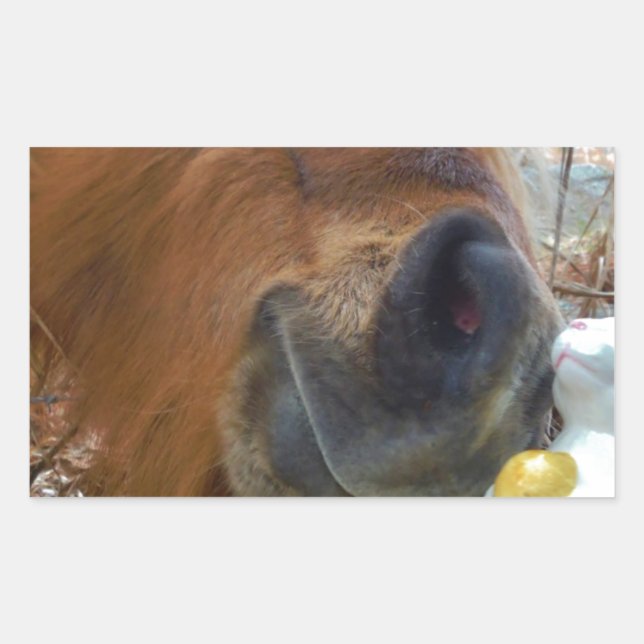 Adesivo Retangular Páscoa Bunny e Cavalo Marrom (Frente)