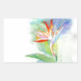 Adesivo Retangular Pássaro do Paraíso