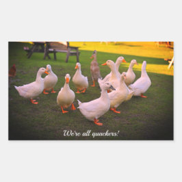 Adesivo Retangular Patos no Parque Engraçado Somos todos Quackers