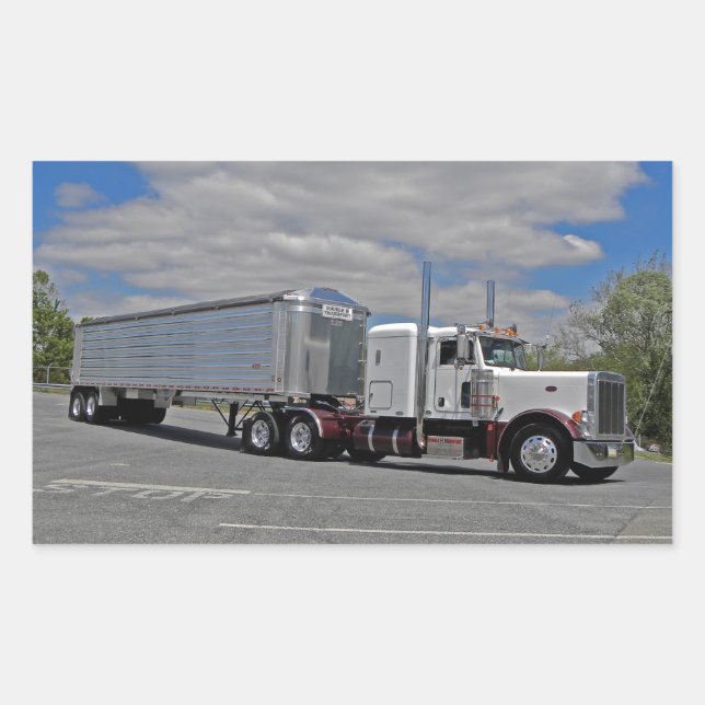 Adesivo Retangular Pau duplo H Pete 379 (Frente)