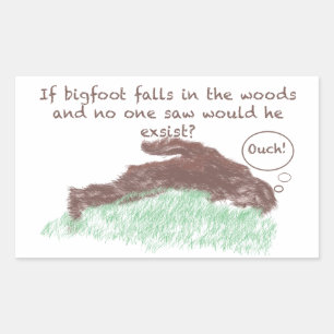 Adesivo Retangular Pé Grande