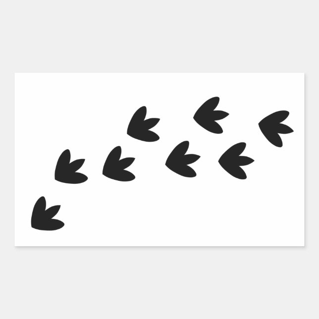 Adesivo Retangular Pegadas Dinossauras (Frente)