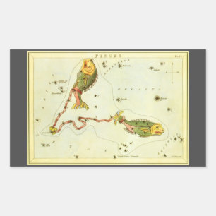 Adesivo Retangular Peixes, Constelação Vintage Espelho de Urânia