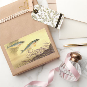 Adesivo Retangular Peixes de sarda que nadam no oceano