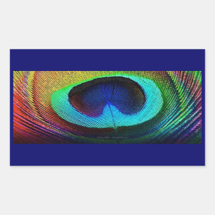 Adesivo Retangular Pena de Peacock Vibrante