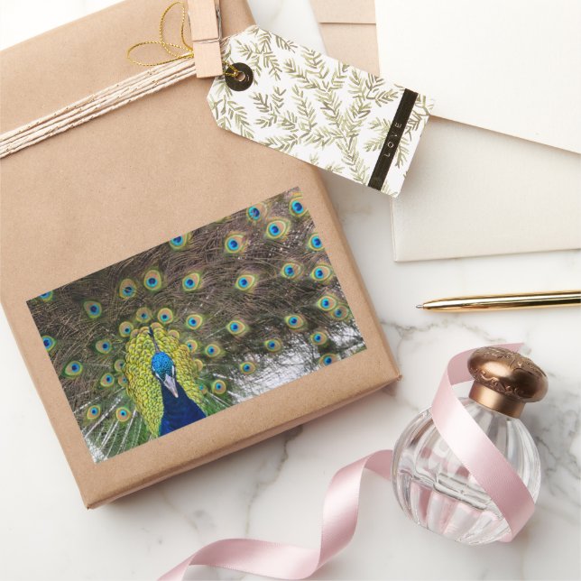 Adesivo Retangular Penas de Peacock Vibrantes (Presentear)