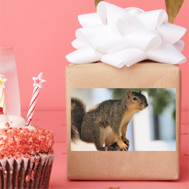 Adesivo Retangular Perch (Festa)