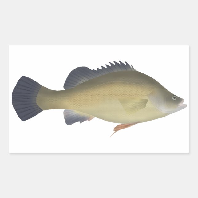 Adesivo Retangular Perch do ouro (Frente)