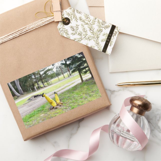 Adesivo Retangular Perdido no Jardim de novo (Presentear)