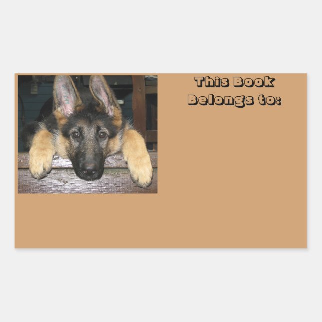 Adesivo Retangular Pertence ao nome Sticker (Frente)