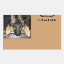 Adesivo Retangular Pertence ao nome Sticker