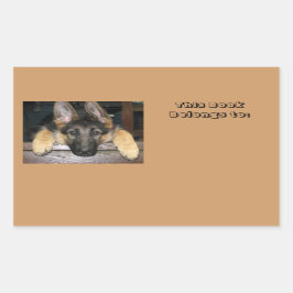 Adesivo Retangular Pertence ao nome Sticker