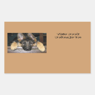 Adesivo Retangular Pertence ao nome Sticker