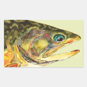 Adesivo Retangular Pescador Brook Trout