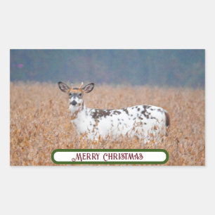 Adesivo Retangular Piebald Deer Photo Stickers