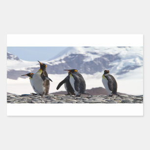 Adesivo Retangular Pinguins-rei na Geórgia do Sul