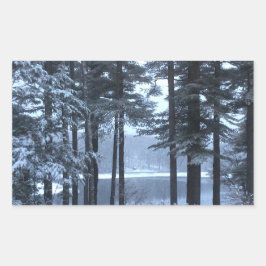 Adesivo Retangular Pinheiros Brancos com Luz Azul —